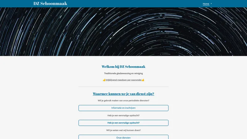 Website van Dzschoonmaakbedrijf