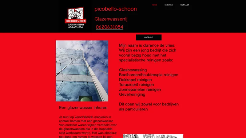 Website van picobello-schoon